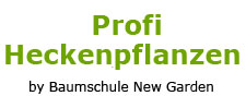 Heckenpflanzen_Profi
